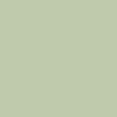 Sage Green iPad Skin + Case - Image 5